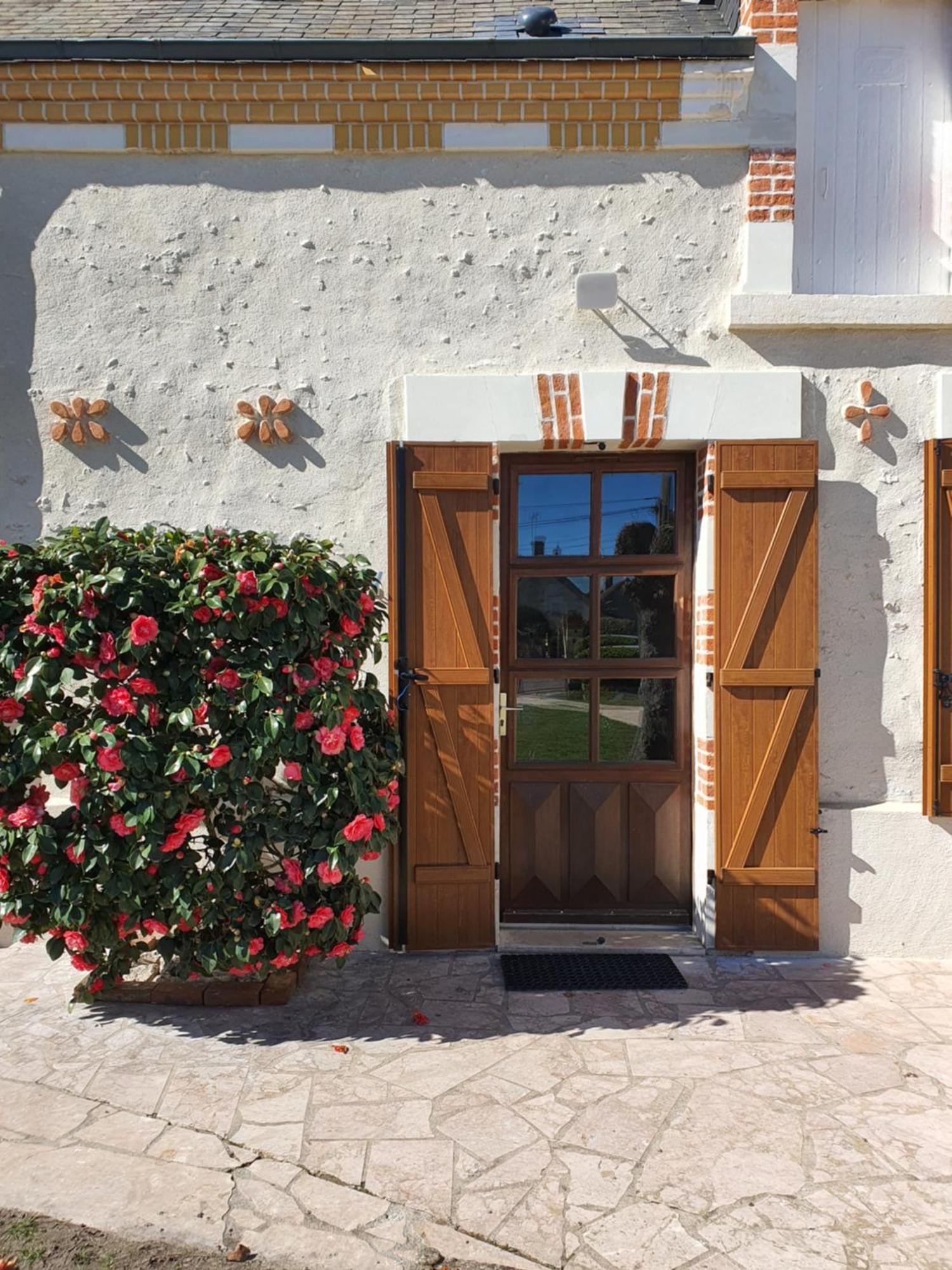 Villa Les Camelias Selles-sur-Cher Exterior foto